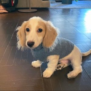 Bearfoot Dreams Fleece Sweater